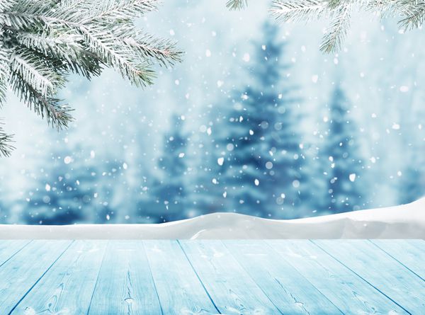 کریسمس مبارک و پس زمینه تبریک سال نو با جدول چشم انداز زمستان با برف و درخت های کریسمس