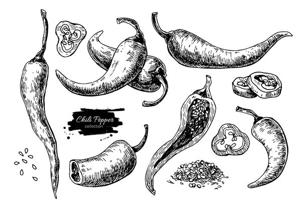 فلفل قرمز فلفل قرمز تصویر برداری کشیده شده است شی سبک حکاکی شده سبزیجات فلفل مکزیکی تند جدا شده قطعات خرد شده و خرد شده دانه ترسیم دقیق مواد غذایی گیاهخواری بازار مزرعه Paprika
