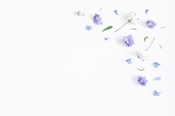 ترکیب گل حاشیه ساخته شده از گلهای یاس و سفید تختخواب مسطح نمای بالا فضای کپی