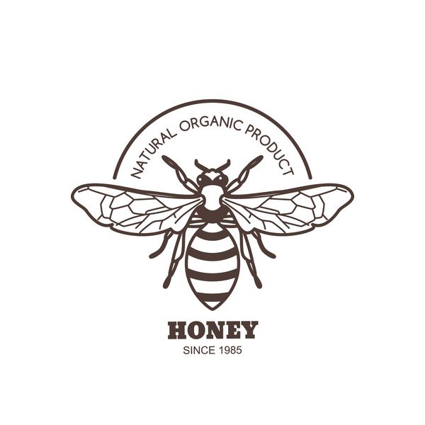 طرح برچسب پرنعمت زنانه وکتور طرح کلی آرم یا نماد زنبور عسل زنبور عسل خطی جدا شده در پس زمینه سفید مفهوم محصولات عسل ارگانیک طراحی بسته بندی