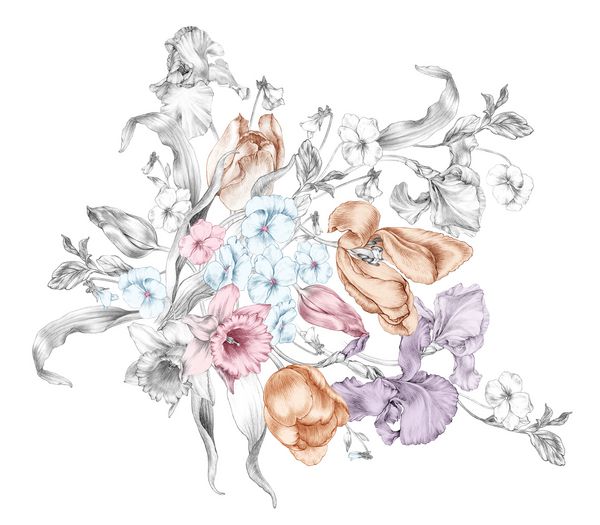 تصویر زیبایی از گل لاله های گل دافولیس بنفشهای بنفش در گرافیت را نشان می دهد