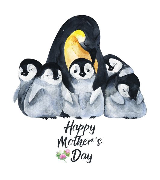 کارت دستی آبرنگ برای روز مادر amp x27؛ s حیوانات با تصویر واقع گرایانه که بر روی زمینه سفید جدا شده اند رنگ آمیزی کردند پنگوئن با کودک