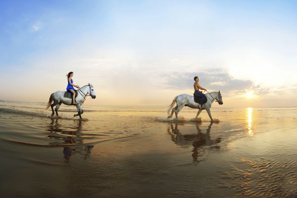 عاشق یک زن و شوهر عاشق که در غروب آفتاب در حال گور کردن بر روی یک اسب دریا هستند
