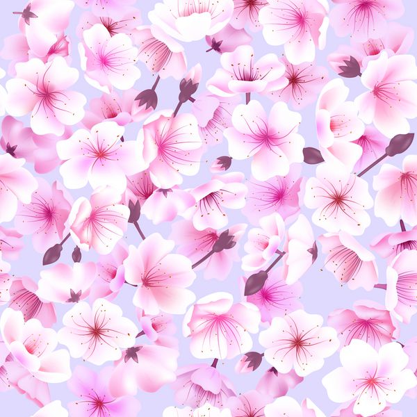 الگوی یکپارچه با شکوفه های گیلاس شکوفه شکوفه جشنواره شکوفه بهار هانامی