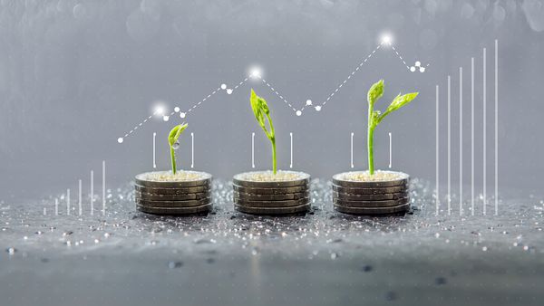 رشد درخت روی سکه صرفه جویی در تجارت و رشد مالی