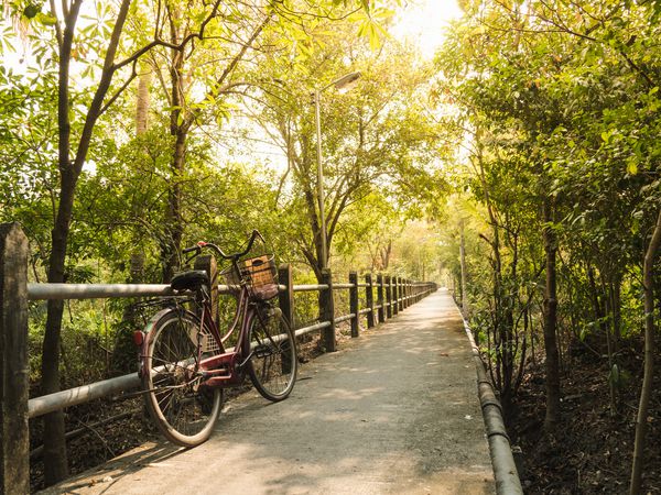 دوچرخه در مسیر طولانی در جنگل با نور خورشید در صبح دوچرخه برای زندگی