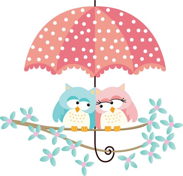 زن و شوهر جغدها ناز زیر چتر