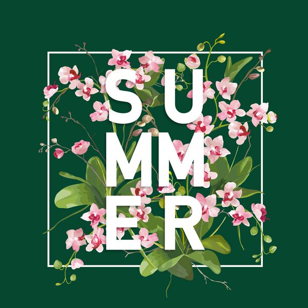 زمینه تابستانی گل ارکیده گرمسیری طراحی بنر پیراهن گرافیکی در وکتور