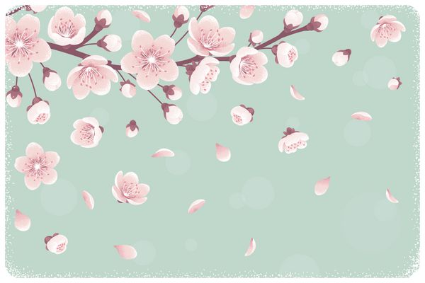 قالب افقی با شکوفه های گیلاس گل های بهاری گلبرگ های در حال سقوط تصویر برداری یکپارچهسازی با سیستمعامل برای متن خود جا دهید طراحی برای دعوت بنر کارت پوستر بروشور