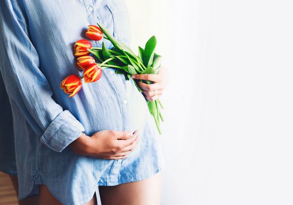 خانم حامله ای با گل لاله ها در فضای داخلی خانه شکم خود را نگه می دارد مفهوم بارداری والدین ​​آمادگی و انتظار کلوزآپ فضای کپی در داخل خانه عکس خلق و خوی مناقصه از بارداری