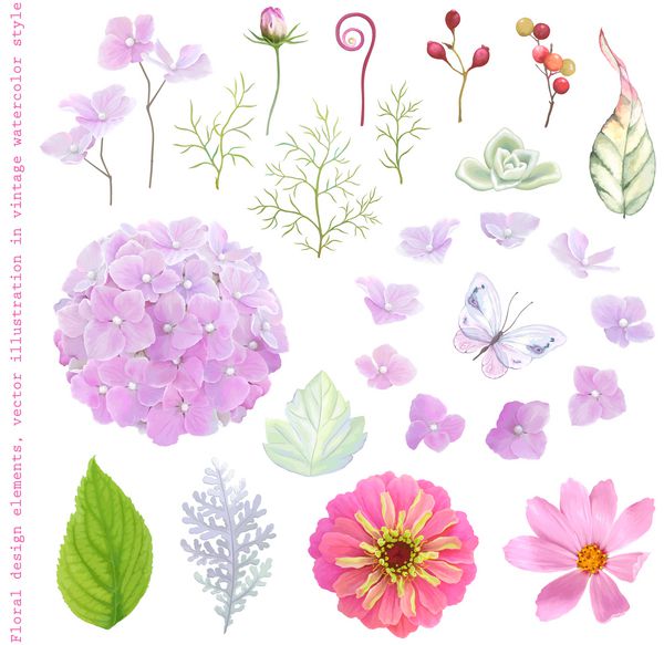 گلهای وکتور مجموعه پروانه شیرین هیدرانسا عمده کیهان شاخه ها و برگها به سبک آبرنگ پرنعمت