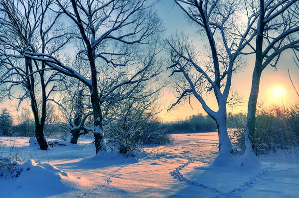 غروب زیبا زمستانی با درختانی در برف