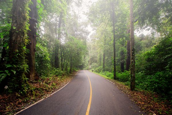 جاده های وسط جنگل روز بارانی