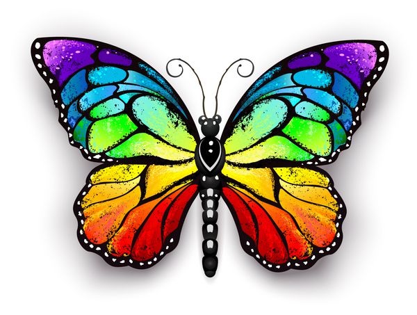 پروانه سلطنتی واقع گرایانه در همه رنگهای رنگین کمان با پس زمینه سفید