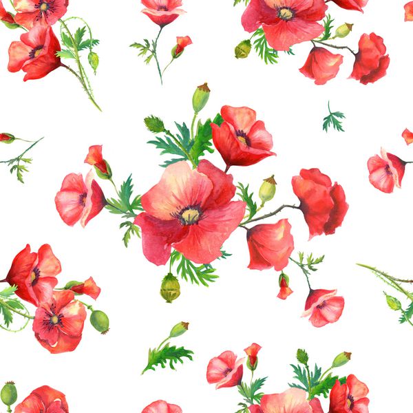 الگوی بدون درز زیبا با خشخاشها و ساقه ها روی یک پس زمینه سفید دلپذیری با گلهای قرمز آبرنگ می توان برای پارچه پارچه کاغذ بسته بندی طراحی وب سایت استفاده کرد