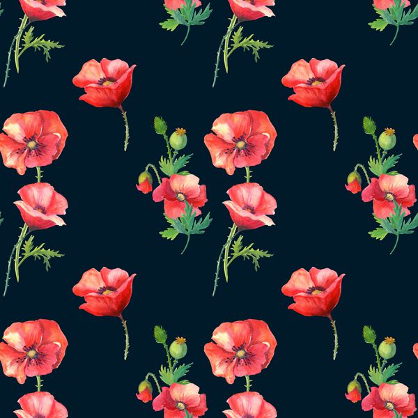 الگوی بدون درز زیبا با خشخاشها و ساقه ها بر روی یک پس زمینه سیاه دلپذیری با گلهای قرمز آبرنگ می توان برای پارچه پارچه کاغذ بسته بندی طراحی وب سایت استفاده کرد