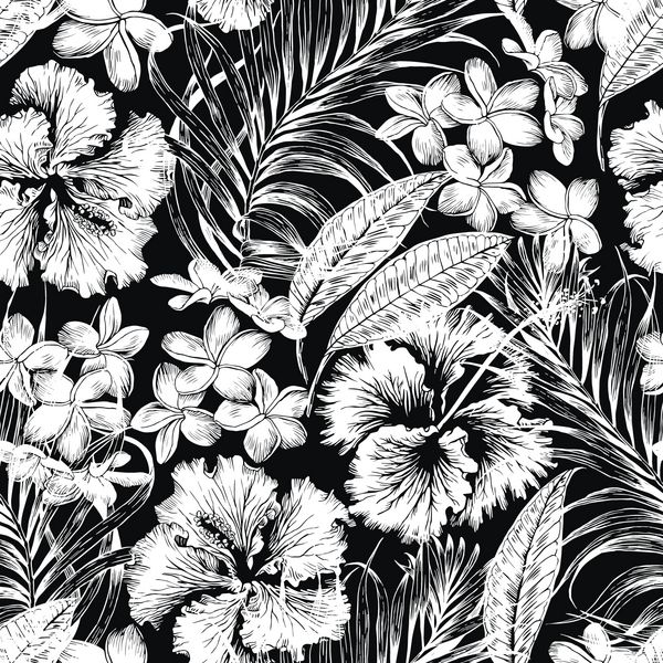 الگوی پس زمینه بدون درز پیراهن هاوایی تک رنگ Aloha گلها و برگهای گرمسیری نخل گیلیس پلومریا سیاه و سفید