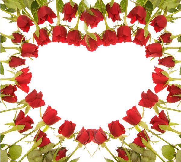 ترکیب گل رز قرمز به شکل قلب با فضای کپی در وسط