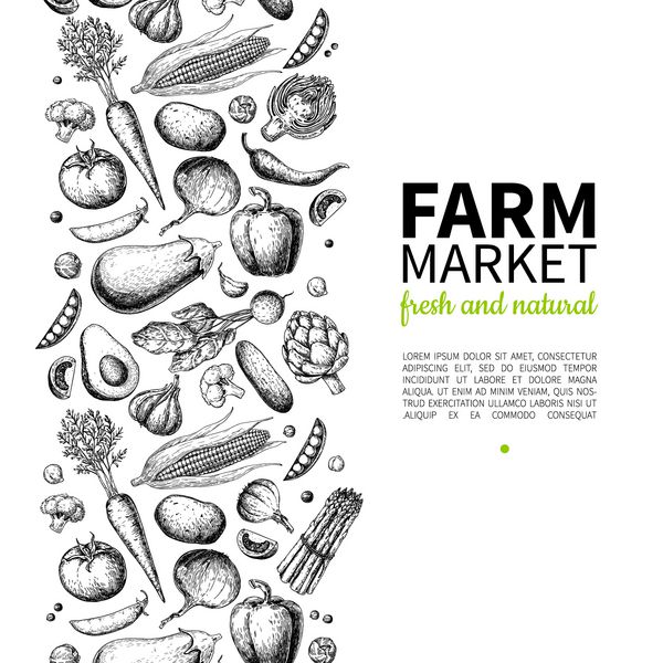 تصویر بردار پرنعمت دست سبزی کشیده شده است پوستر بازار مزرعه مجموعه گیاهی محصولات ارگانیک ترسیم دقیق مواد غذایی عالی برای منو بنر برچسب آرم بروشور