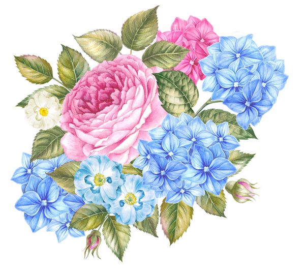 گل آبرنگ گلدار گل رز گل رز صورتی زیبا به سبک پرنعمت برای طراحی ترکیب گل گلی دستباف تصویر گیاه شناسی آبرنگ