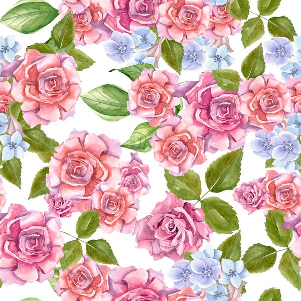 گل رز صورتی با برگهای رنگ شده در الگوی آبرنگ