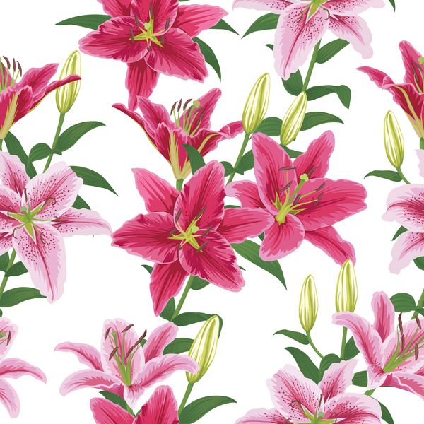 الگوی بدون درز با گل نیلوفرهای رنگارنگ در زمینه سفید وکتور مجموعه گل شکوفه برای دعوت عروسی و طراحی کارت پستال