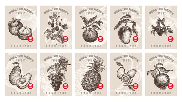 برچسب هایی با میوه های مختلف انواع توت ها و کتیبه ها برچسب های قیمت را برای مغازه ها و بازارهای مواد غذایی گیاهی ارگانیک تنظیم کنید هنر تصویر برداری پرنعمت طراحی دست اشیاء طبیعت