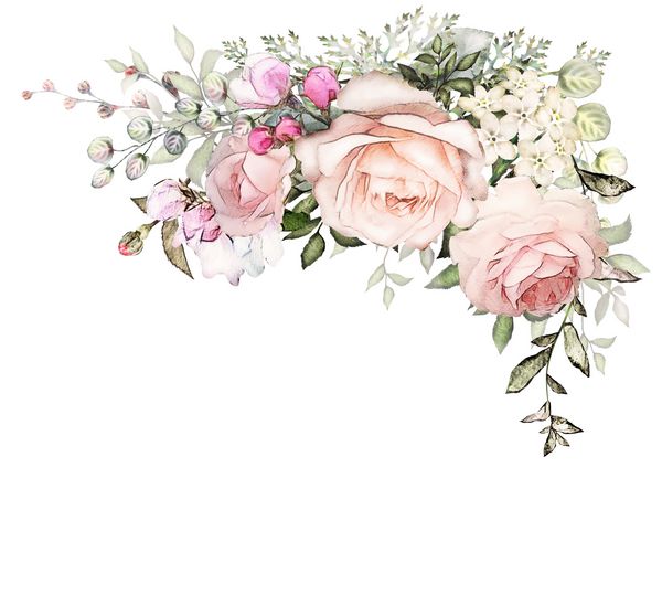 کارت ویترین طرح دعوت عروسی آبرنگ با گل رز صورتی جوانه و برگ گل شاخه زمینه با عناصر گل برای متن پس زمینه آبرنگ قالب قاب
