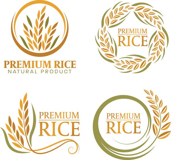 طرح وکتور بنر علامت گذاری شده برنج پرمویی با کیفیت برتر