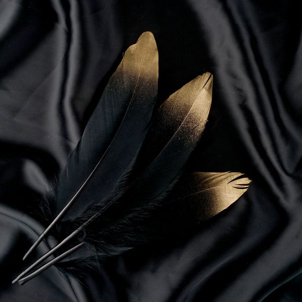 مجموعه ای از پر جنب و جوش طلا طلای پر قو سیاه و سفید در پس زمینه پارچه ابریشم