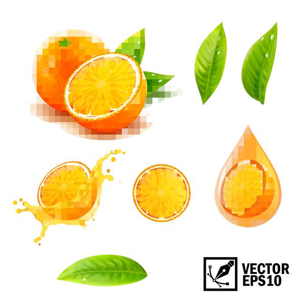 مجموعه بردارهای واقع بینانه 3D از عناصر پرتقال کامل پرتقال خرد شده آب پرتقال پاشیده روغن پرتقال برگها مش دست ساز قابل ویرایش