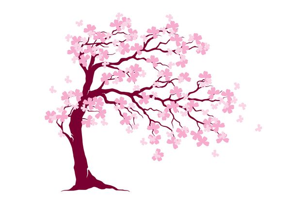 درخت شکوفه باد