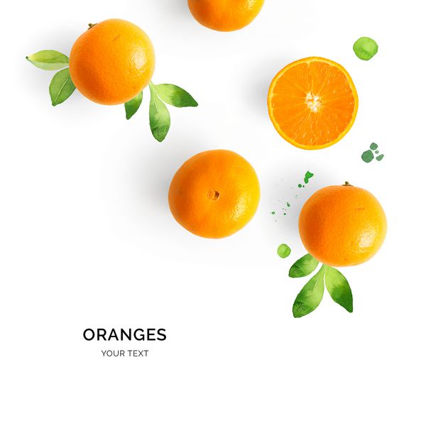 طرح خلاق ساخته شده از نارنج در زمینه آبرنگ دراز کشیدن مفهوم غذا