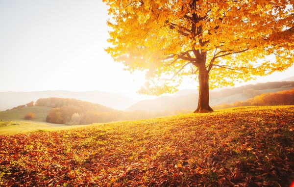 عکس طلوع خورشید دریا