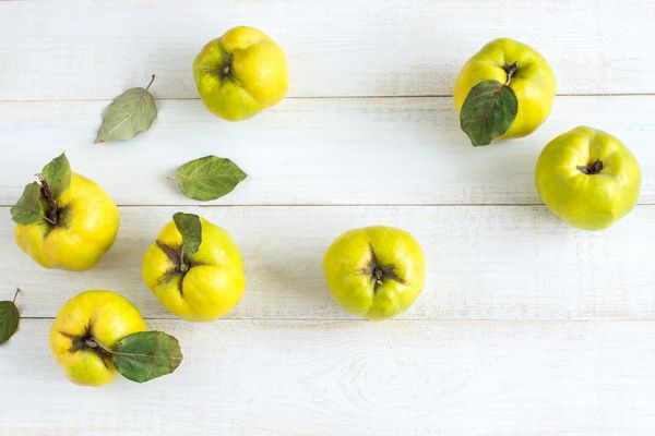 زندگی سالم تغذیه مفهوم درمان نمایی از میوه های زرد لیمو که از درخت درخت انگور برداشت می شود روی میز سطح سفید و بی نقص جدول قرار دارند