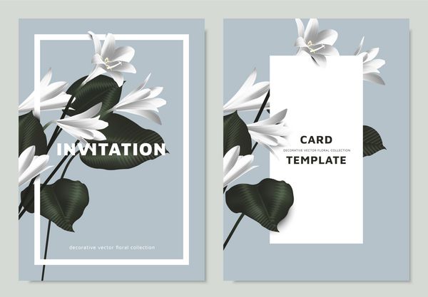 برگهای ابریشمی سفید و برگهای ابریشم Philodendron با قاب مستطیل در زمینه آبی طراحی قالب کارت دعوت