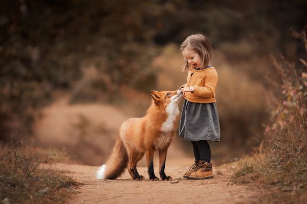 دختر کوچکی با روباه در جنگل پاییزی