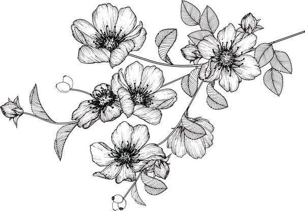نقاشی گل با هنر خط بر روی زمینه های سفید