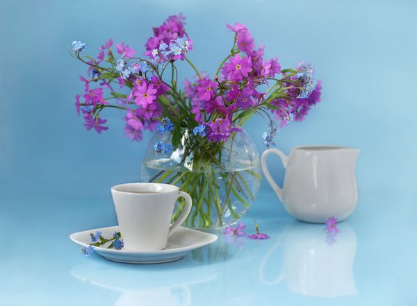 گلهای صورتی یک فنجان قهوه و یک خامه چینی سفالی روی میز قرار دارند پس زمینه آبی هنوز زندگی