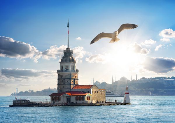 مرغ دریایی در روز پرواز در نزدیکی برج Maiden amp x27؛ s در استانبول ترکیه