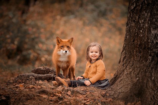 دختر کوچکی با روباه در جنگل پاییزی
