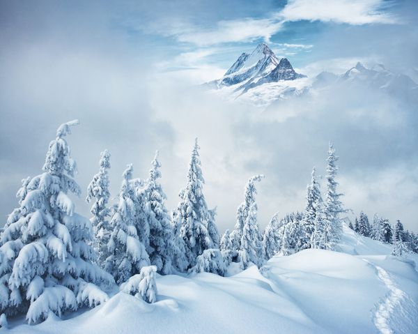 کلاژ خلاق روز یخبندان در پیست اسکی مکانهای آلپ سوئیس سوئیس اروپا تصویر منطقه وحشی هوای مطبوع زیبایی های زمین را کاوش کنید تصویر منظره از مفهوم پیاده روی سال نو مبارک