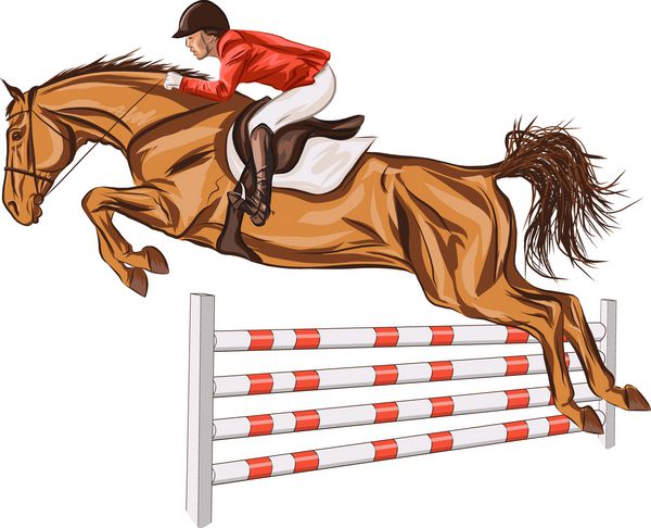 سوار و یک اسب در حال پرش از روی یک مانع هستند در هوای میانه قرار دارند