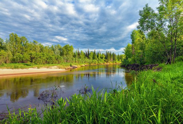 چشم انداز تابستانی زیبا با طبیعت سیبری رودخانه چت در منطقه Tomsk