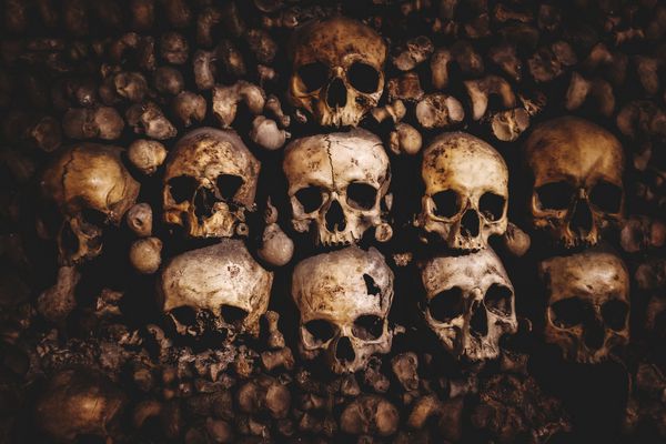 جمجمه و استخوان ها در Catacombs Paris Paris