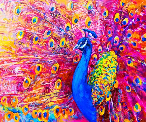 نقاشی اصلی روغن طاووس رنگارنگ هنر مدرن