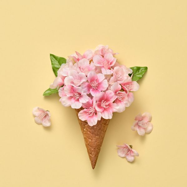 مخروط بستنی با دسته گل مفهوم گل بهار تابستان خلاق حداقل شکوفه صورتی رنگ وانیلی سبک مد مرسوم مد روز هنر وینت