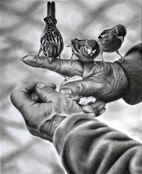 پرندگان نشسته بر روی انگشت و دستان پیرمرد