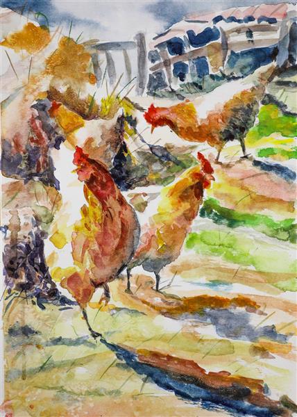ماکیان مرغ ها نقاشی آبرنگ