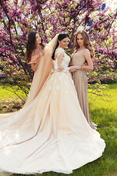 عکس در فضای باز عروس زرق و برق دار در لباس عروسی مجلل با عروس های زیبا در لباس های زیبا
